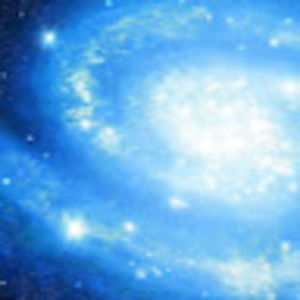 Meet your Posher, Ariana